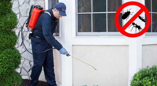 Çatalzeytin Gümüşkurt İlaçlama böcek ilaçlama ve haşere kontrolü — ilaclama-tr.com